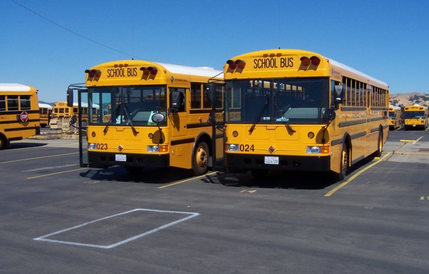 This is an image of two yellow school buses parked in a parking lot